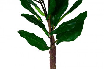 Искусственные растения Фикус лирата MK-7407-FC Темно-зеленый в Барнауле - barnaul.mebel54.com | фото