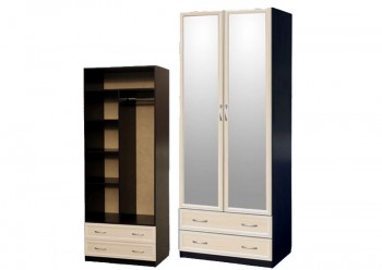 Шкаф для платья и белья 2-х дверный с профилем МДФ с 2 зеркалами Венге/Дуб выбеленный в Барнауле - barnaul.mebel54.com | фото